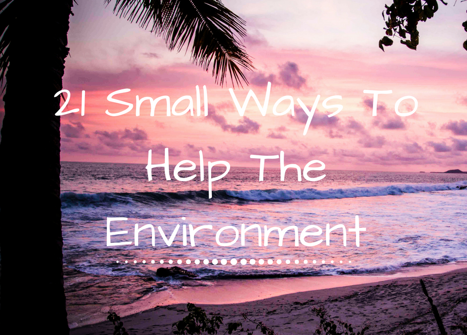 21 Small Ways to Help the Environment